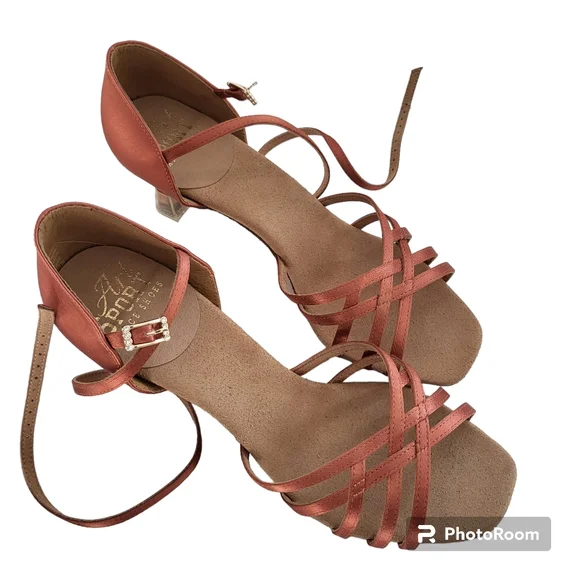 Ladies Latin Dance Shoes by Ray Rose Dark Tan Size 7 UK/9US - Picture 2 of 6